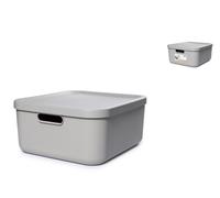 Boîte Rotho Avec Couvercle Albula En Polypropylène Recyclé, Sans BPA, Cm