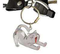 Boîte Souvenir pour Chien, Porte-clés en Poil de Chien, Pendentif Transparent pour Sac à Main Femme Homme Accessoire Sac à Dos et Ornement