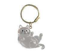 Boîte Souvenirs Pour Animaux Pendentif Transparent Commémoratif Breloque | Breloque Mignonne Souvenir Poils De Chien Pour Clefs Pour Hommes Femmes Sac À Dos Sac Collection De