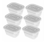 Boîtes de congélation - Rotho - Set de 6 - 0,25 l - Plastique sans BPA - Transparent
