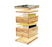 Boîtes de ruche cadres Cire d'abeille enduite de ruche à 10 cadres comprenant des et un kit démarrage(Beehive B with Frame)