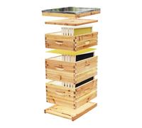 Boîtes de ruche cadres Cire d'abeille enduite de ruche à 10 cadres comprenant des et un kit démarrage(Beehive C with Frame)