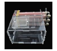 Boîtes d'élevage de Fourmis, Lot de 6 nids Fourmis en Bambou, Acrylique, for fourmilière, Zone d'alimentation, Ferme, Animaux Compagnie