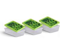 Boîtes fraîcheur 1,25L - Salade - 20x13cm ( pack de 3 )
