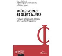 Boîtes noires et gilets jaunes Jean-François Petit (Auteur), Vincent Puig (Auteur), Vincent Laquais (Auteur)