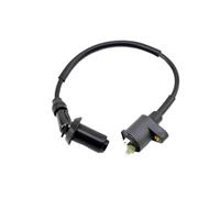 Boîtier CDI d'allumage pour Moto, Bobine d'allumage AC, Plaque de stator de magnéto pour Rebel CA250 250C 1996 QJ253FMM QJ250-3 QJ250-F