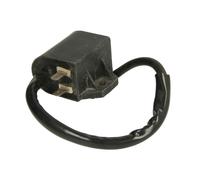 Boîtier CDI INPARTS IP000046