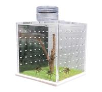 Boîtier D'araignée À Sauter - Réservoir De Tarentule, Boîte D'humidificateur | Tank d'alimentation Et De Reproduction pour Les Petits Reptiles, Les Amphibiens Et Les Araignées, Habitat De Reptiles