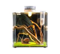 Boîtier d'araignée en verre transparent pour reptiles, terrarium de croissance des reptiles, vue claire, récipient pour animaux de compagnie pour escargots, lézards, coléoptères et tortues