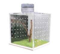 Boîtier d'araignée sautant | Réservoir de Tortue Transparent | Petit réservoir de Reptile, boîte d'alimentation avec humidificateur de lumière pour Sauteur amphibie
