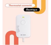 Boîtier de pilotage connecté - système pour radiateur électrique