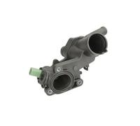 Thermostat d'eau THERMOTEC D2W008TT