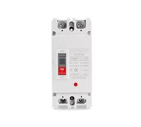 Boîtier en plastique solaire disjoncteur DC MCCB protection contre les surcharges interrupteur protecteur photovoltaïque PV 150A 250A 2P isolateur de batterie(150A)