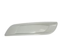 Boîtier, feu antibrouillard PACOL DAF-FB-039L gauche