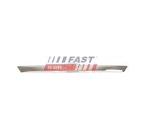 Boîtier Feu Éclaireur De Plaque Fast FT00393 pour Ford