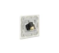 Delock - Boîtier modulaire (couplage) - HDMI - blanc