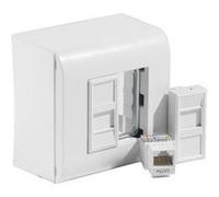 Boîtier mur 2XRJ45 cat 5E complet