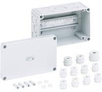 Spelsberg Boîtier pour bloc de jonction RK 4/18 K-L 61591201 gris 180 x 110 x 90 EPS 1 pièce