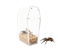 Boîtier pour petits reptiles - Boîtier transparent épais, habitat d'araignée | Enclos de tarentule arboricole pour escargots mante grenouille amateur enseignant étudiant studio photo bureau trous de v