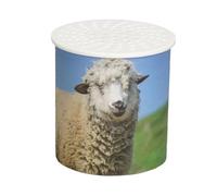 Boîtier Vocal Vache - ABS | Générateur Sonore Réaliste Mouton Inversé | Module À Inversion Audio pour Amusement Anniversaire Et Jeu Pédagogique