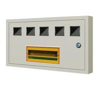 Boîtiers de Compteurs Électriques À Montage en Surface/encastrés Boîtiers de Compteurs for Immeubles Locatifs de 1/2/3/5/6/8/10 Unités Boîtiers Étanches(Surface Mounting,5)