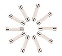 BOJACK T15A250V 6x30 mm 15 A 250 V Fusibles en céramique à fusion lente 150 amp 250 Volt 0,24 x 1,18 pouces Fusible à retard de tube en céramique(paquet de 20 pièces)