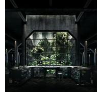 Bok Bok - Your Charizmatic Self (2x12''+Mp3) [Import]