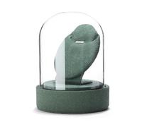 Bokcztml Accessoires de bijoux recouverts de verre multi-usages pour femmes - Support de rangement pour bagues, colliers, boucles d'oreilles