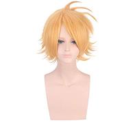 Boku no Hero Academia Cosplay Costume Uniforme Scolaire Mon Héros Academia Costumes École Sportswear À Manches Courtes Tops + Pantalon + Perruques Taille Unique Denki