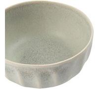 Bol 230 ml x 12 Olympia Corallite 1 G