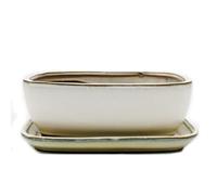 Bol à bonsaï avec soucoupe taille 4 - Beige clair - Rectangulaire - Modèle GB5 - L 26 cm - l 20 cm - H 9 cm