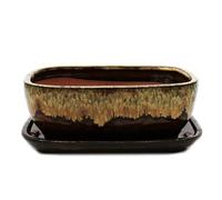 Bol à bonsaï avec soucoupe taille 4 - marron/beige - rectangulaire - modèle GB5 - L 26 cm - l 20 cm - H 9 cm