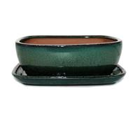 Bol à bonsaï avec soucoupe Taille 4 - Vert - Rectangulaire - Modèle GB5 - L 26 cm - l 20 cm - H 9 cm