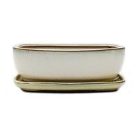 Bol à bonsaï avec soucoupe taille 5 - Beige clair - Rectangulaire - Modèle GB5 - L 31 cm - l 25 cm - H 10 cm
