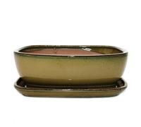 Bol à bonsaï avec soucoupe taille 5 - marron olive - rectangulaire - modèle GB5 - L 31 cm - l 25 cm - H 10 cm