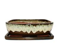 Bol à bonsaï avec soucoupe taille 6 - marron/beige - rectangulaire - modèle GB5 - L 37 cm - l 28 cm - H 10 cm