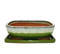 Bol à bonsaï avec soucoupe taille 6 - vert-beige - rectangulaire - modèle GB5 - L 37 cm - l 28 cm - H 10 cm
