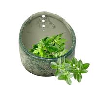 Bol à dénuder en poterie, éplucheur de cuisine polyvalent, tasse à éplucher la vanille en céramique avec trous de plusieurs tailles, pour la cuisine, le chou vert, la menthe, le romarin, le persil et