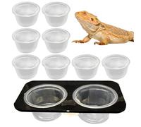 Bol à eau pour reptiles, bol à gecko écrasé, 4,53 x 2,36 x 1,18 pouces, mangeoire amovible, accessoire de réservoir à économie d'espace, bol alimentaire pour geckos et petits reptiles, multicolore