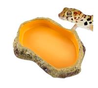 Bol à eau pour reptiles - Réservoir d'eau pour reptiles et serpents, bols de terrarium, bol de nourriture sans danger pour animaux pour décoration de baignoire