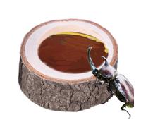 Bol à eau pour tortue, 6 x 4 x 4 cm, aspect bois naturel, accessoire d'habitat d'aquarium, accessoire compact pour tortue, dragon barbu, gecko et lézard