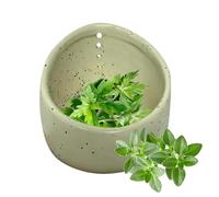 Bol à herbes en céramique de couleur naturelle - Éplucheur en céramique fait à la main | Gobelet à éplucher vanille, pour la cuisson des blettes à carde, romarin, basilic, thym pour la maison