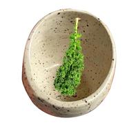 Bol à herbes en céramique fait à la main, outil de décapage d'herbes poterie, design moucheté imparfait, passe au micro-ondes, 7 cm, pour lave-vaisselle et micro-ondes