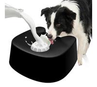 Bol à lécher pour chien Distributeur Interactif de Lentes