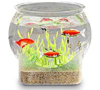 Bol à Poisson en Plastique, Petit aquates à Poisson oblat, Mini Aquarium Tabac Claire avec Base, Pots hydroponiques Polyvalents pour décoration de la pièce maîtresse / 7, 5x7, 5x6, 5 Pouces