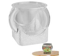 Bol à poisson rond transparent - Petit aquarium pour poissons Betta, tortue et gardiens d'eau, réservoir de bureau en verre, bol à eau décoratif, vase à fleurs, pièce maîtresse pour la maison et le