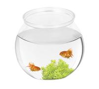 Bol à poisson transparent - Aquarium rond clair, réservoir à béton compact | Récipient d'affichage de style bulle, vase à léger pour petits animaux aquatiques, décoration de table et usage