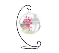 Bol à Poissons d'aquarium Aquarium de Poissons Combat Transparent Suspendu, Petit Bureau, Poisson Rouge, réservoir en Verre(Noir,Grand)