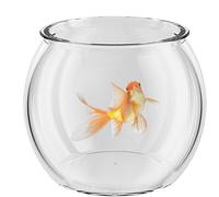Bol à Poissons en Verre Transparent | Vase Rond Assorti pour Poissons | Aquariums Transparents | Aquarium Rond - Récipient Compact pour Poissons Aquatiques ornementaux pour la Maison ou Le Bureau