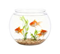 Bol à Poissons - Petit récipient Transparent incassable pour Aquarium, décoration d'intérieur | Pièce maîtresse de fête sans Effort, décoration d'événement à Domicile, Accessoire, Ornement de Bureau,